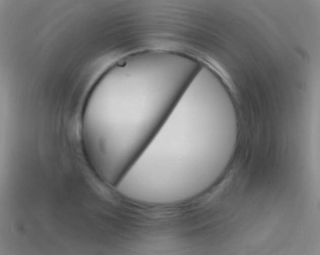 X0000114580891200910191052