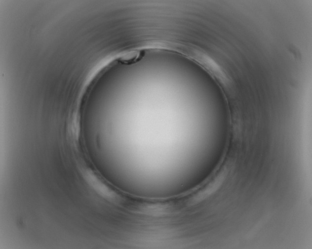 X0000114580892200910191052