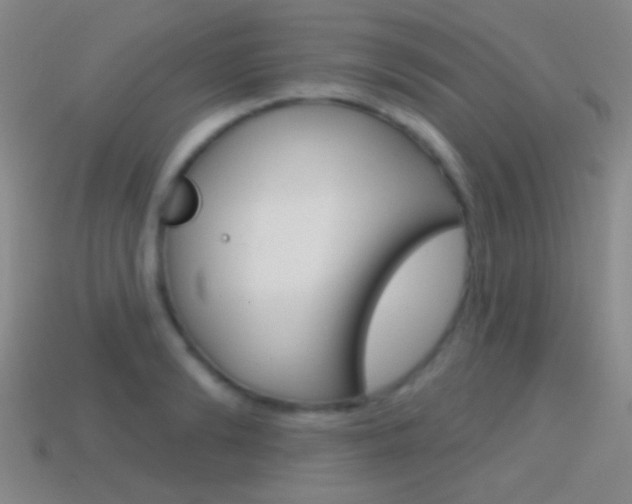 X0000114580894200910191052