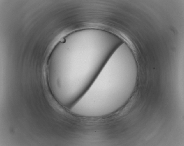 X0000114580899200910191052