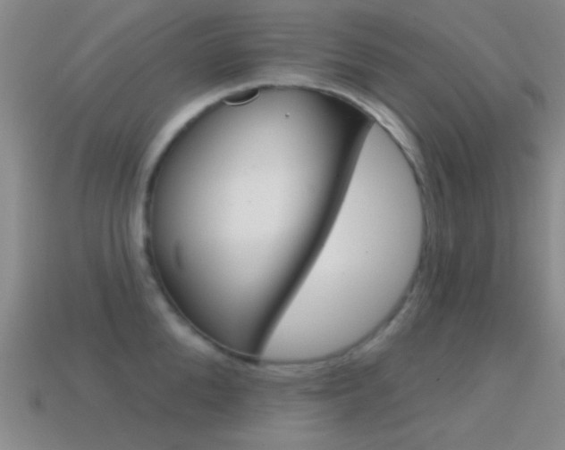 X0000114580904200910191052