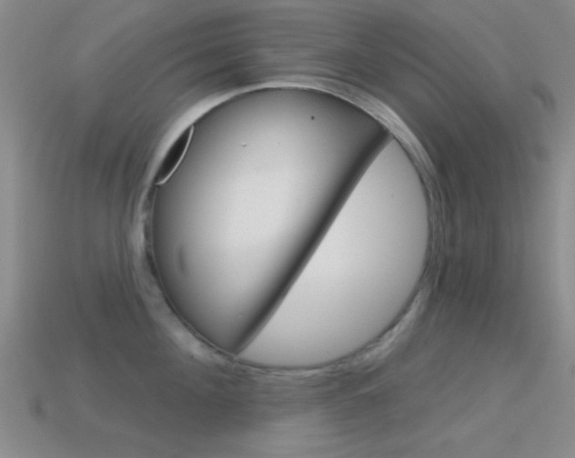 X0000114580908200910191052