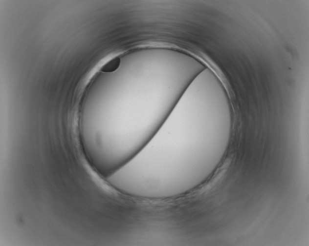 X0000114580909200910191052