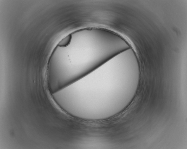X0000114580911200910191052