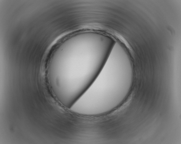 X0000114580923200910191051