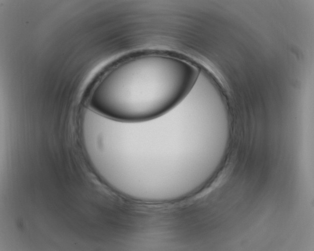 X0000114580926200910191051