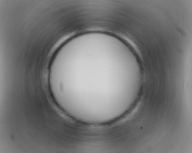 X0000114580933200910191051