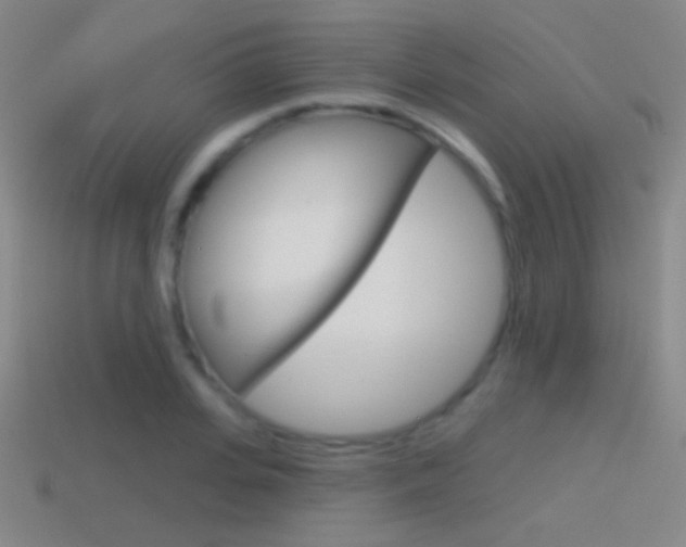 X0000114580935200910191051