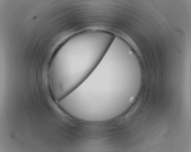 X0000114580939200910191051
