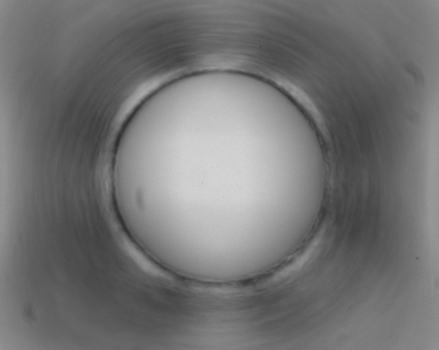 X0000114580941200910191051