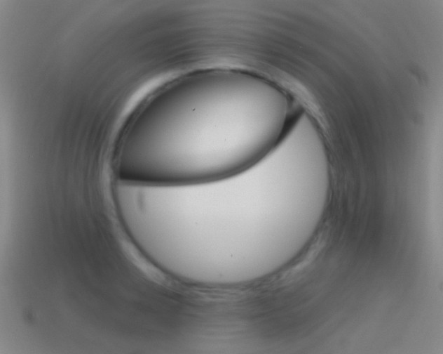 X0000114580942200910191051
