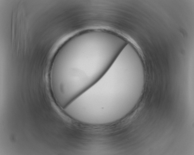 X0000114580943200910191051