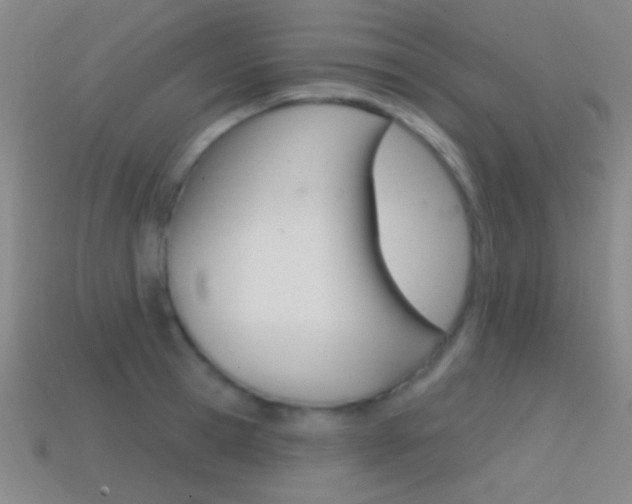 X0000114580945200910191051