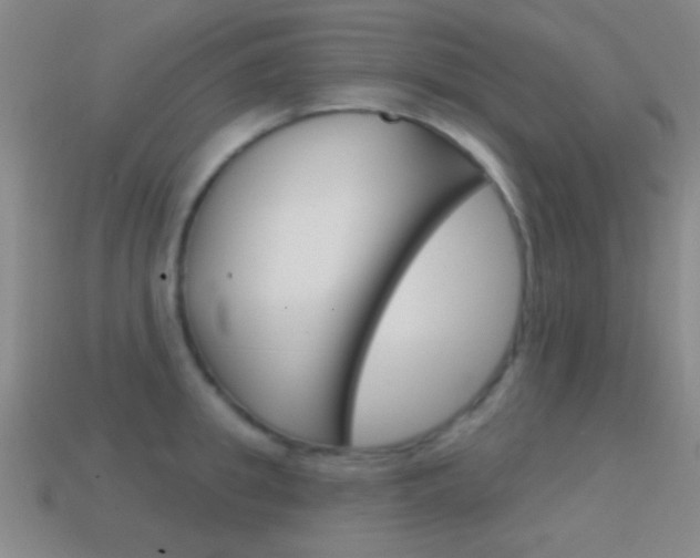 X0000114580949200910191051