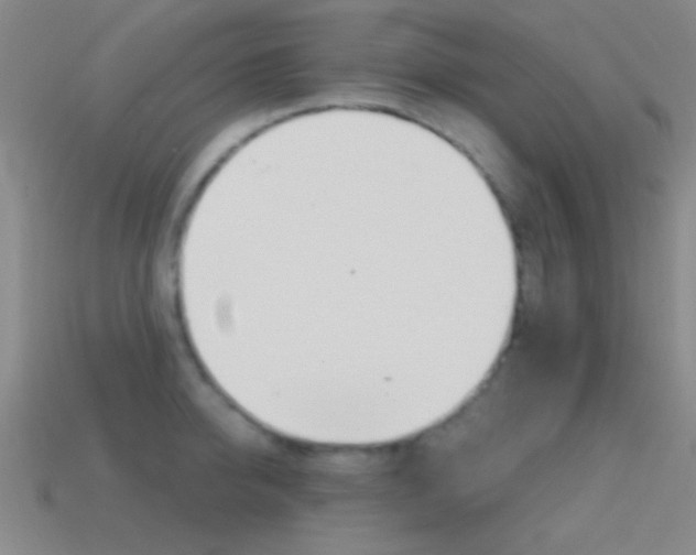 X0000114580950200910191051