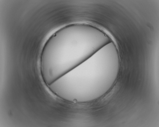 X0000114580951200910191051
