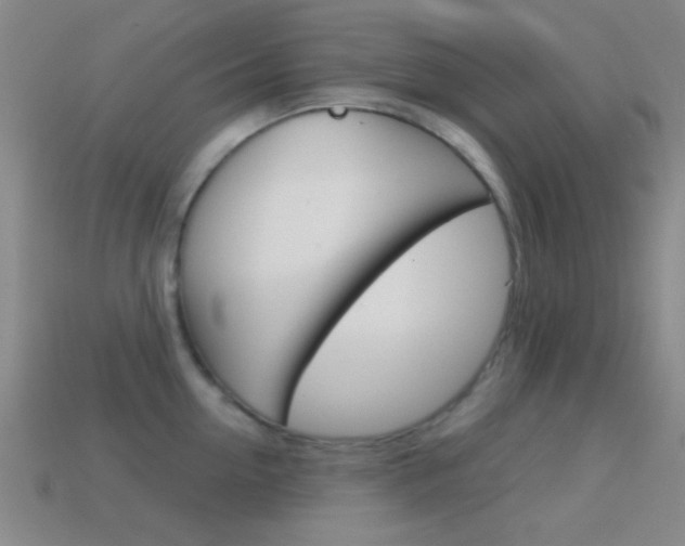 X0000114580954200910191051