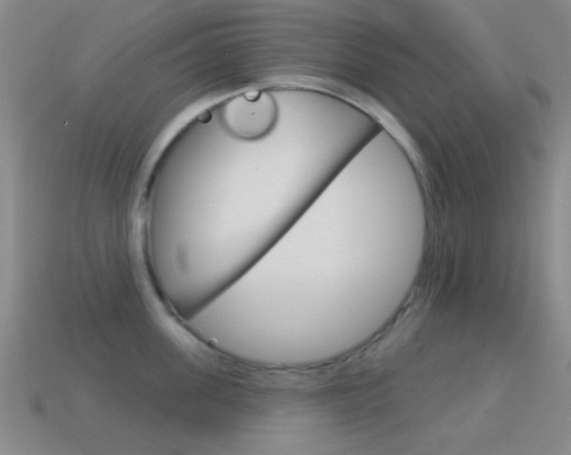 X0000114580955200910191051