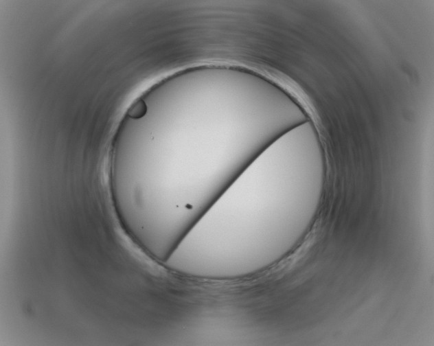 X0000114580958200910191051