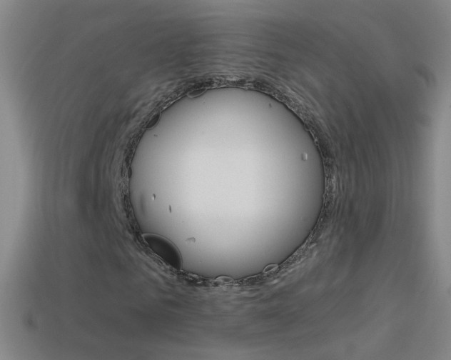 X0000114580961200910191051