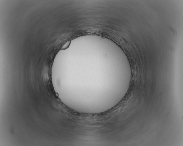 X0000114580962200910191051