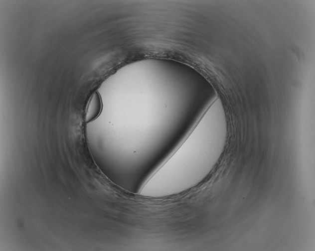 X0000114580964200910191051