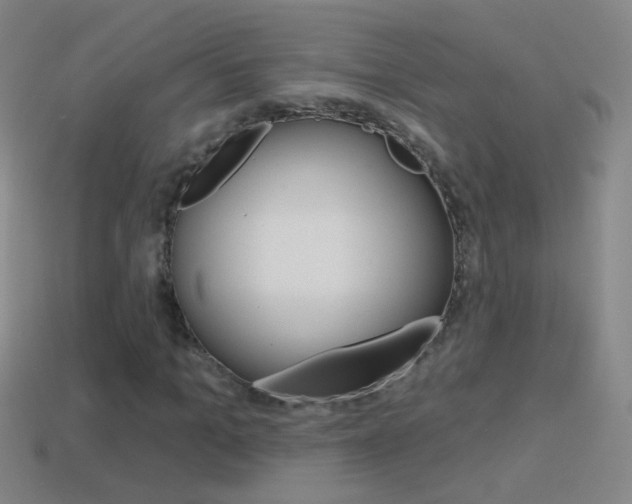 X0000114580965200910191051