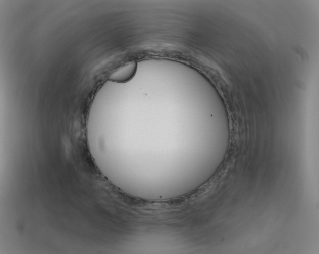 X0000114580966200910191051