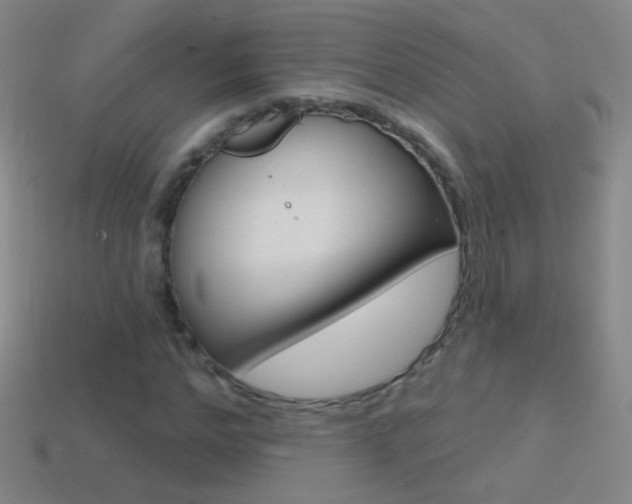 X0000114580968200910191051