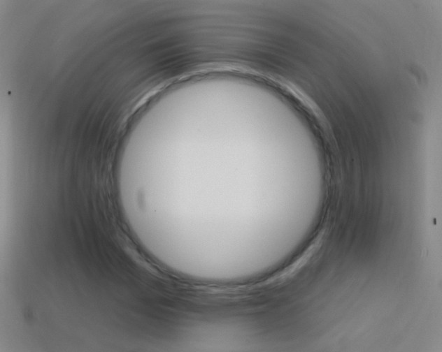 X0000114580969200910191051