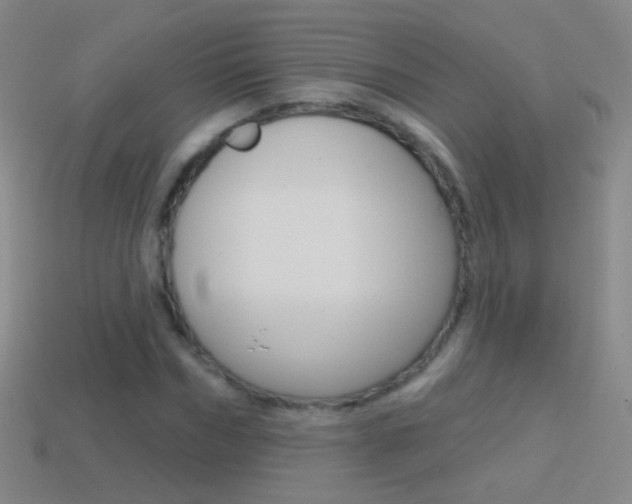 X0000114580970200910191051