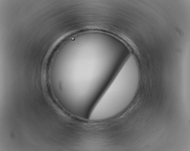 X0000114580976200910191051