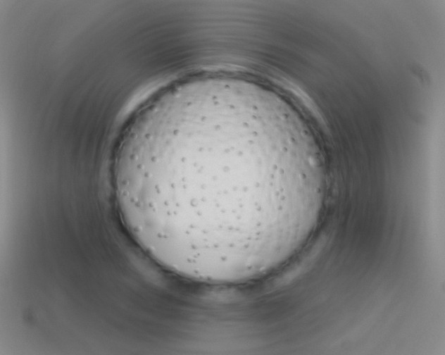 X0000114580978200910191051