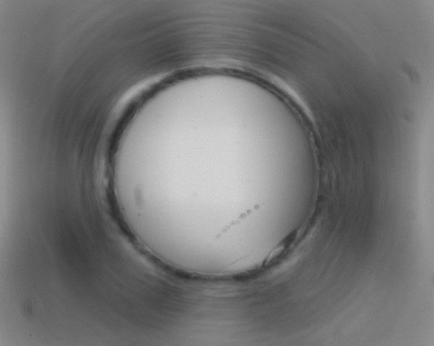 X0000114580979200910191051