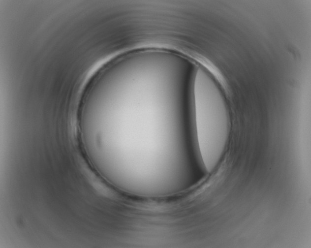 X0000114580980200910191051