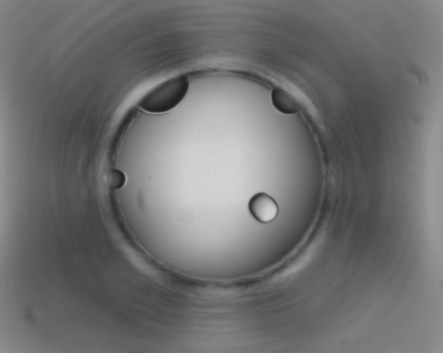 X0000114580981200910191051