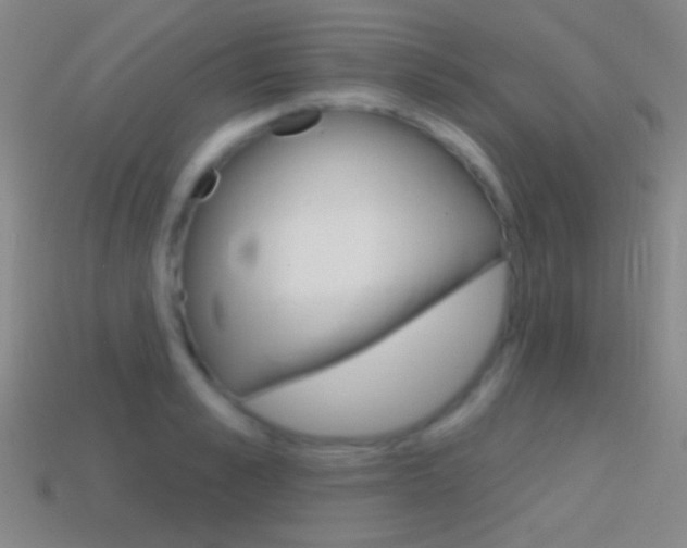 X0000114580989200910191051