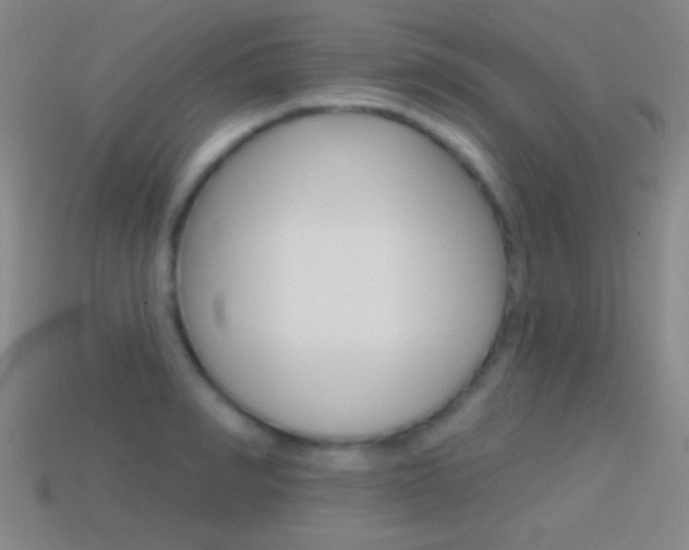 X0000114580990200910191051