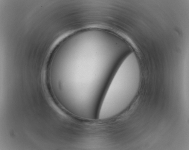 X0000114580991200910191051