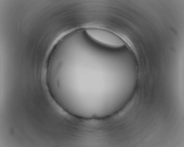 X0000114580992200910191051