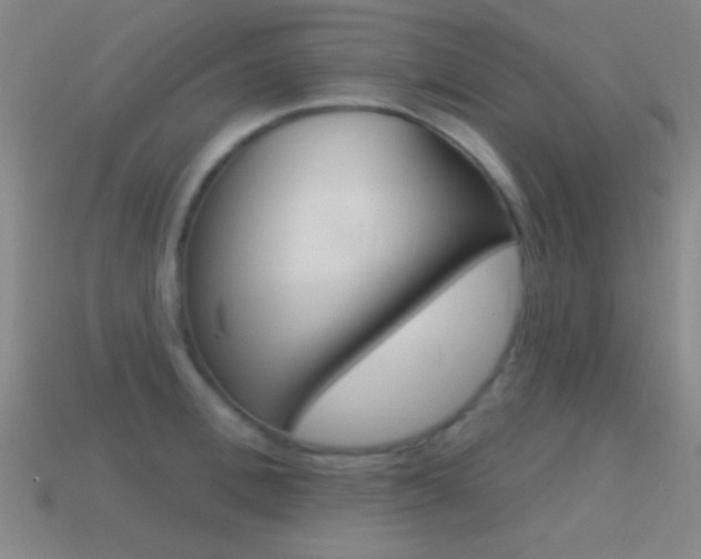 X0000114580996200910191050