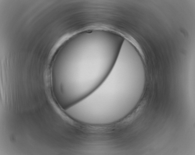 X0000114580997200910191050