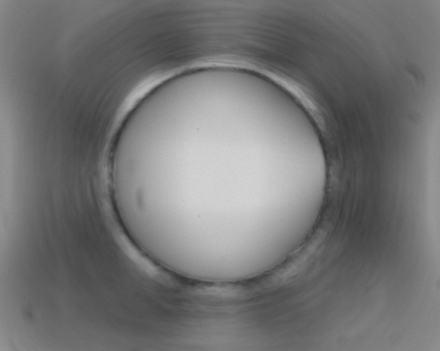 X0000114580998200910191050
