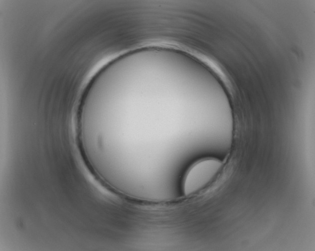 X0000114580999200910191050