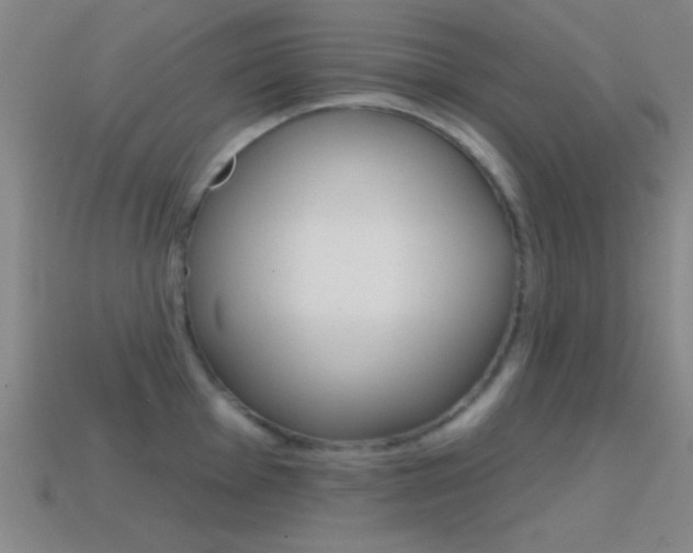 X0000114581001200910191050