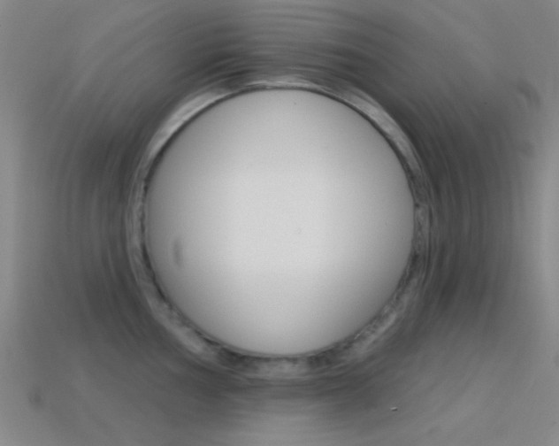 X0000114581002200910191050