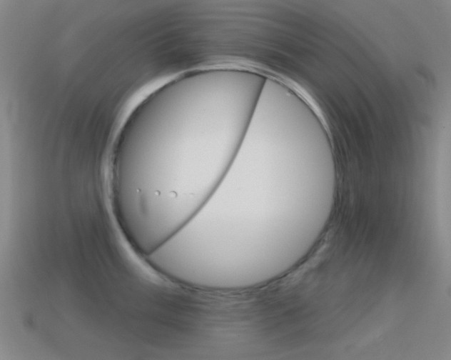 X0000114581003200910191050