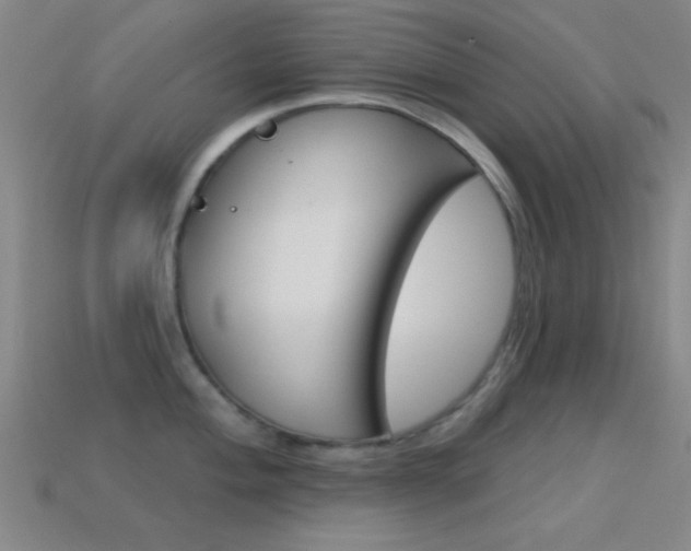 X0000114581004200910191050
