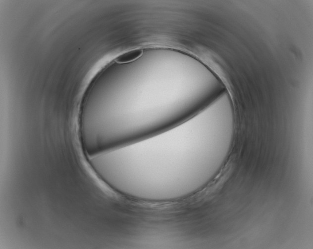 X0000114581005200910191050