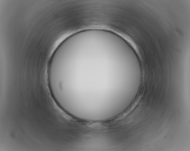 X0000114581006200910191050